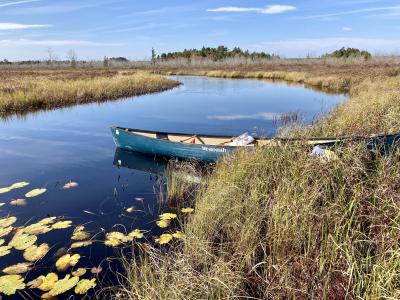 Blue canoe in stream surrounded by wetlands.
