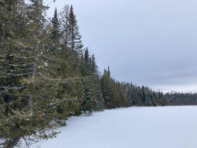 Long Lake shoreline during winter