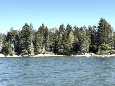 View of island with dark spruce trees, blue ocean below and blue skies above