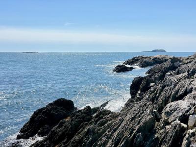 Rocky island cliffs, and the ocean, on a sunny day. This island is one of the Tributary Land Returns.