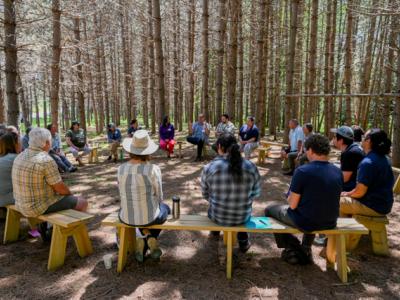 Group of people sitting on benches in a circle in a grove of pine trees