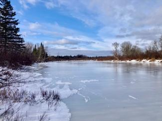 A frozen river, with snow and trees along the banks