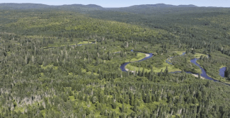 A river winding through a wooded landscape.