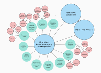 Graphic displaying assets of the Food Sovereignty Working Group, including agricultural technical assistance, access to funding/financing, meeting spaces, volunteers, and more