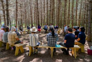 Group of people sitting on benches in a circle in a grove of pine trees