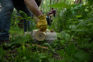 In the foreground: hands in workgloves working an ash log. In the background: group of people watching the person working with the tree.