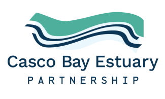 Green line with blue lines curving below, then organization name below