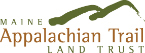 green gestural mountains with org name in brown and green to left and below