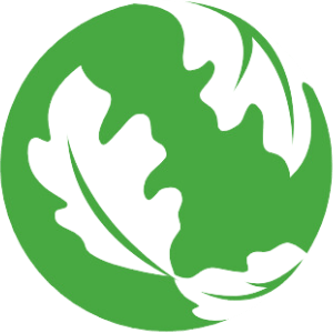 A bright green sphere circled at an angle by white oak leaves. The leaves on the sphere look a little like the continents do on an image of earth.